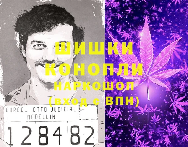 PSILOCYBIN Баксан