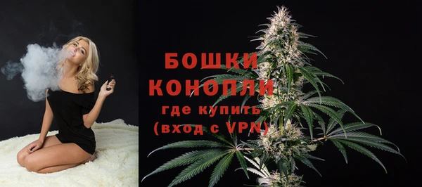 a pvp Белокуриха