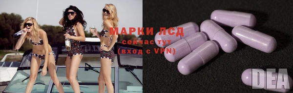 PSILOCYBIN Баксан