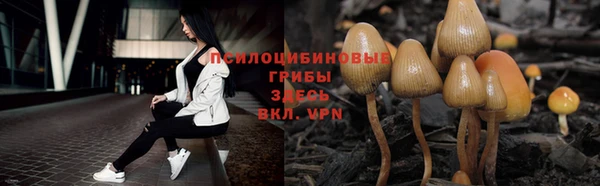 a pvp Белокуриха